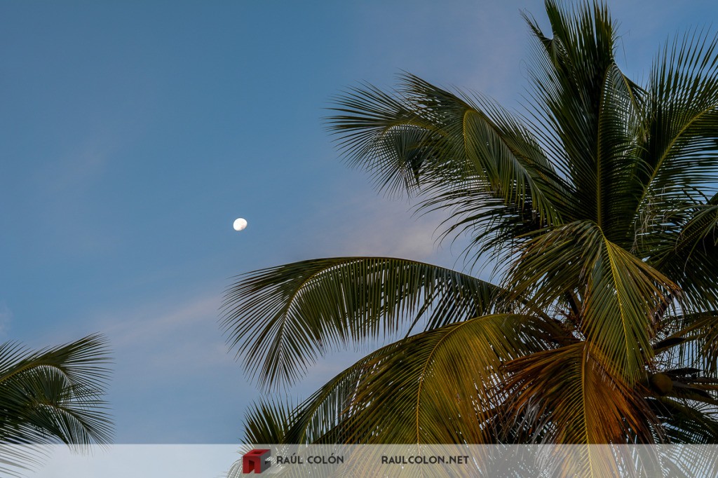 Good Morning Tropical Moon Puerto Rico Good Morning Tropical Moon Puerto Rico