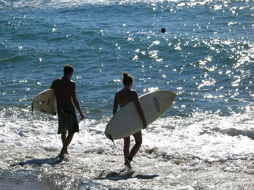 Surfers