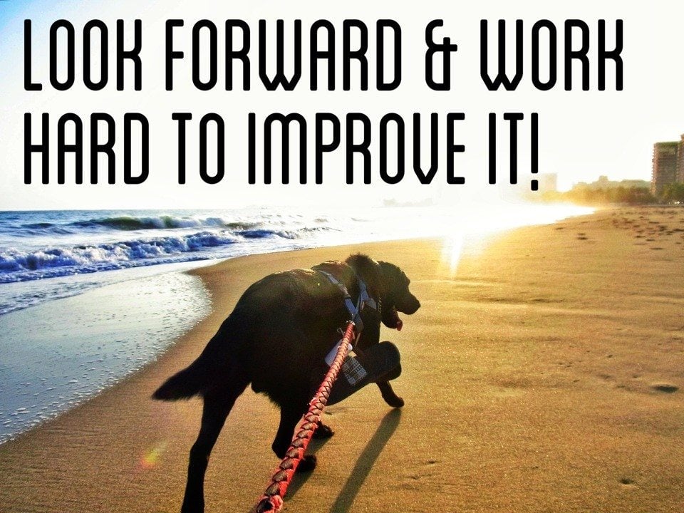 Look Forward and Work Hard to Improve IT